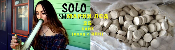 spice Гусев