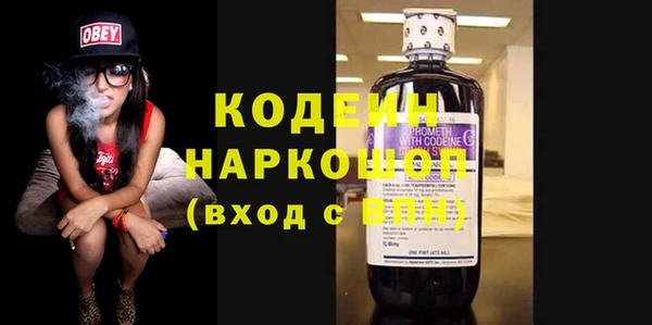 spice Гусев