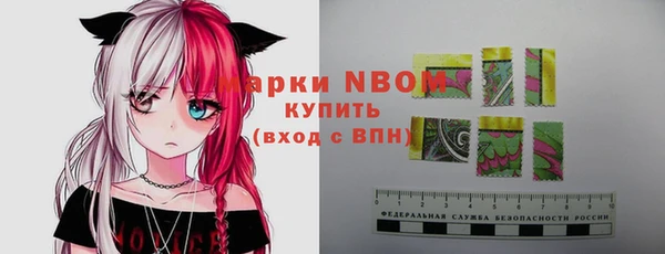 spice Гусев