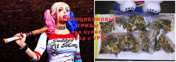 spice Гусев