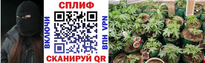kraken онион Калачинск Шишки марихуана THC 21% купить